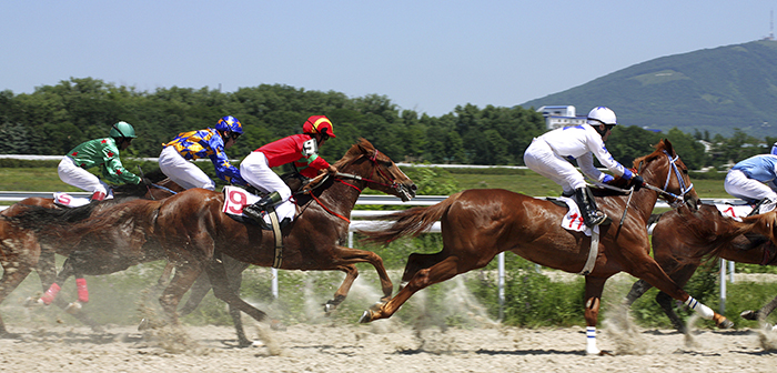 Horse racing in Paris