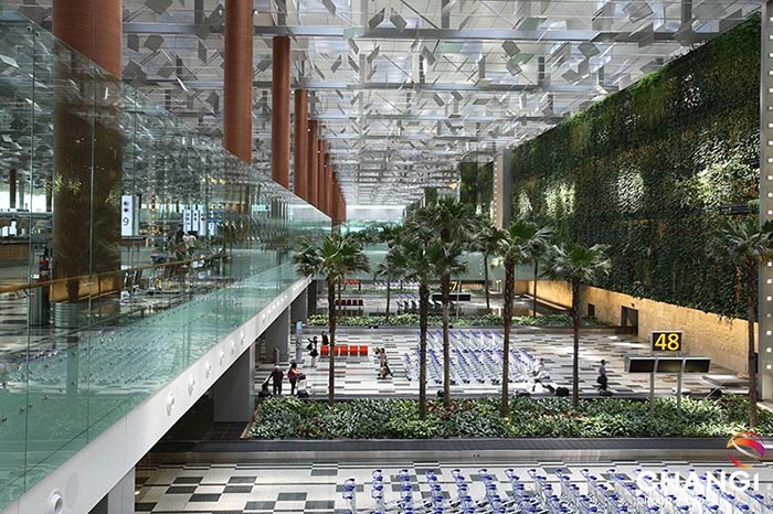 Airport & Terminal Architecture Terminal 3 Green Wall & Baggage Belt - Singapore Changi International Airport