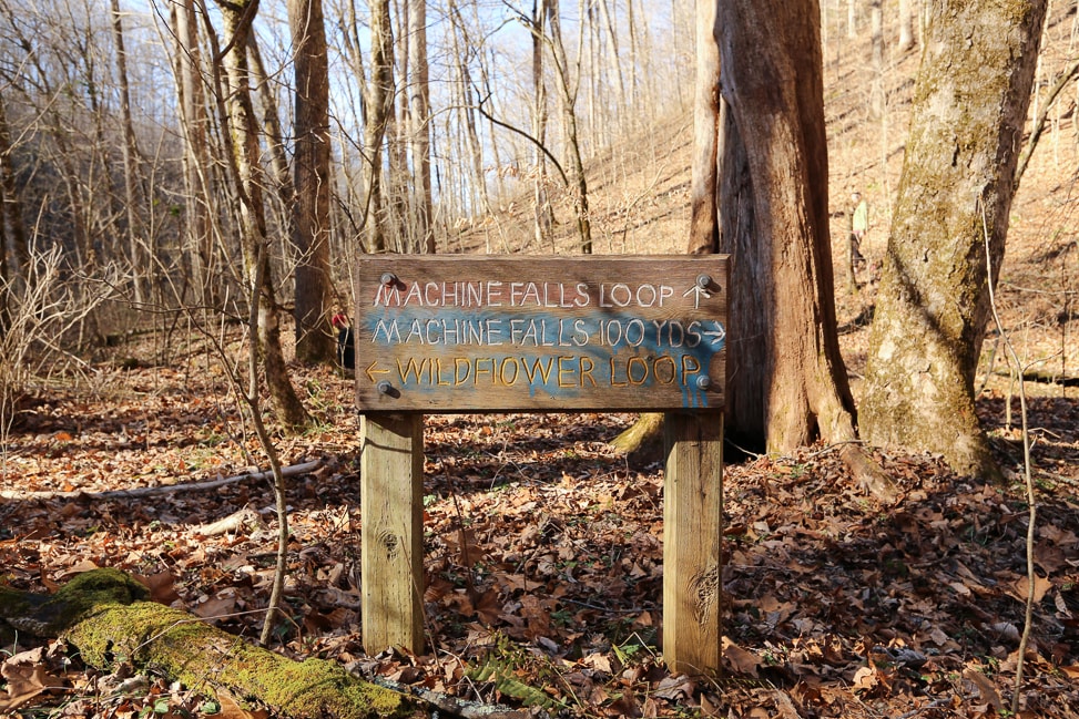 Hiking with Dogs in Tennessee