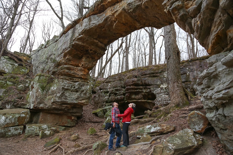 Hiking with Dogs in Tennessee