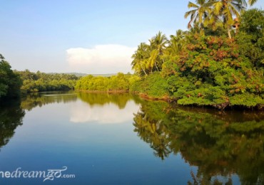 goa-2-ashiyana-river-622x350.jpg