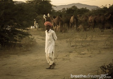 pushkar-man-desert.jpg