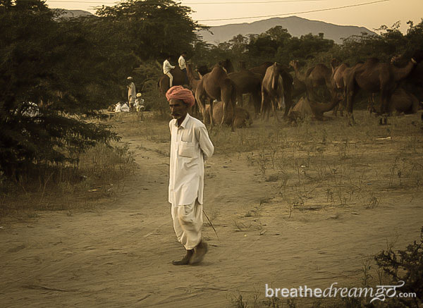 pushkar-man-desert.jpg