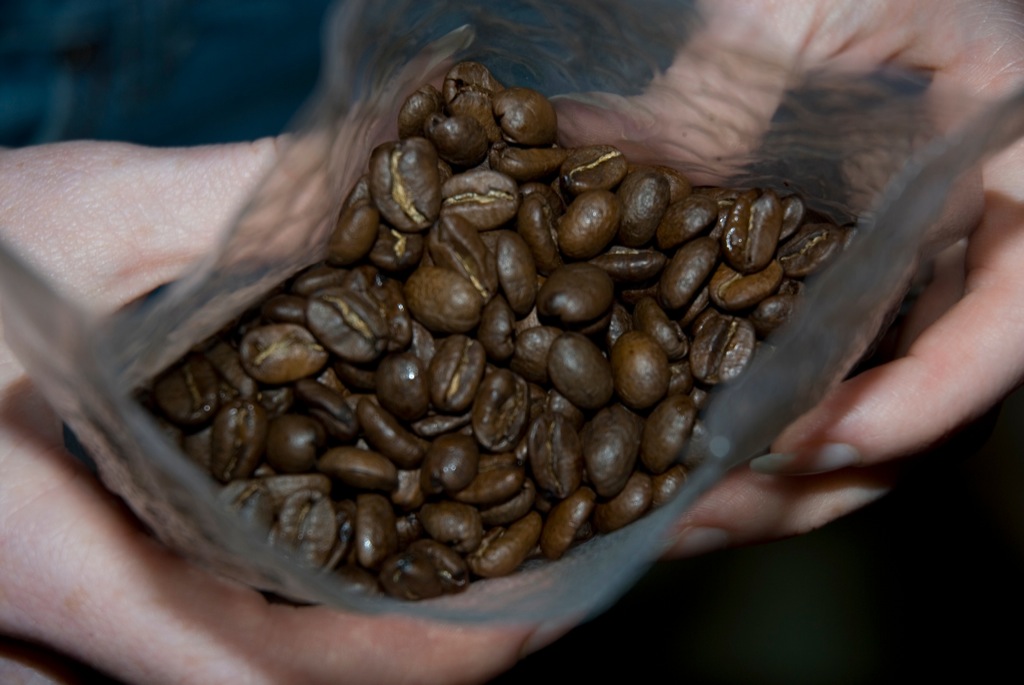 Kopi Luwak beans2