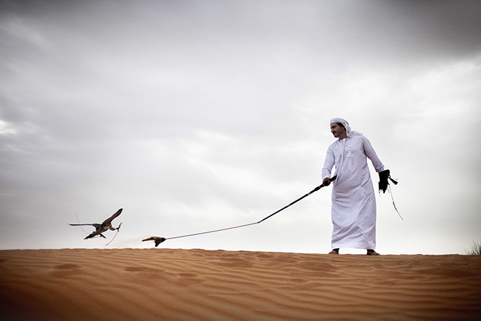 Desert and Falcon. Image via Visit Dubai