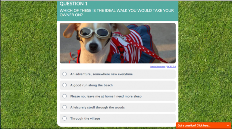 dream-lodge-dog-quiz-e1462985574318.png