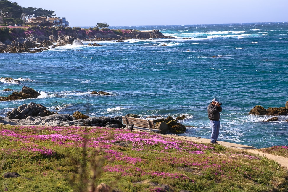 An Iconic Road Trip Down the Pacific Coast Highway