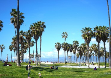 venice-beach-los-angeles.jpg