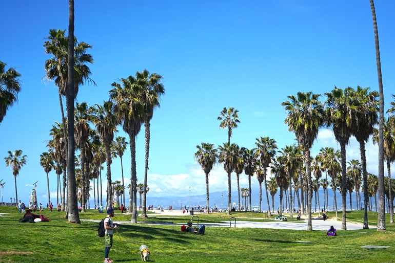 venice-beach-los-angeles.jpg