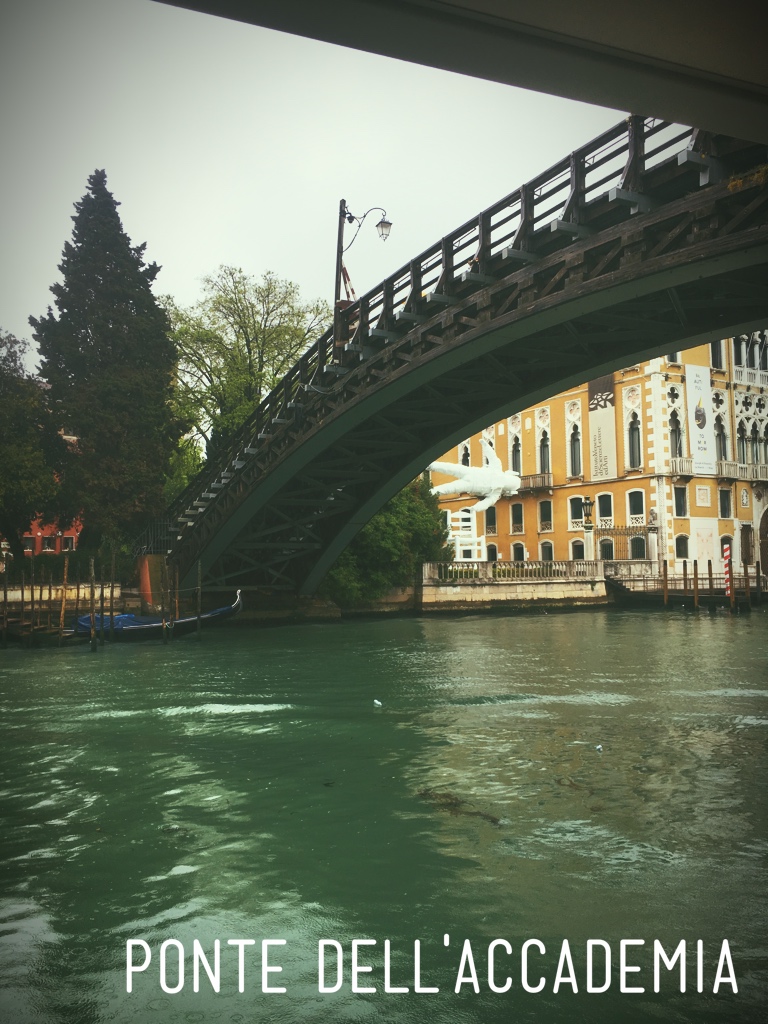 Ponte dell'Accademia, Venice | By: Sydney Rose