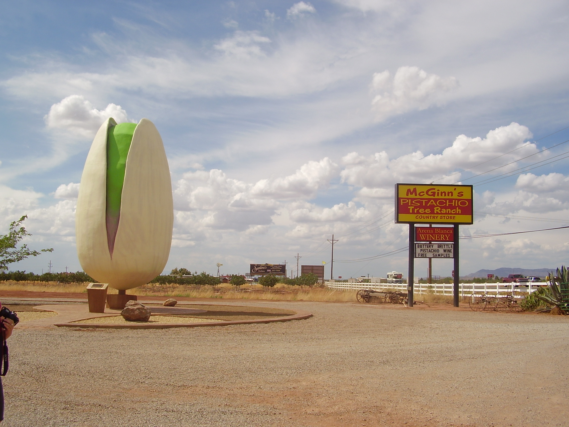 world's largest... "pistachio"