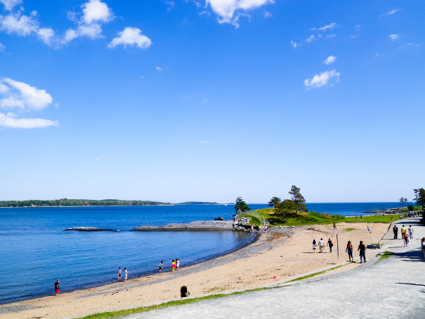 Blackrock Beach Halifax