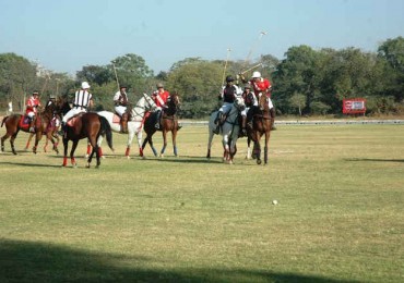 rajasthan-polo.jpg
