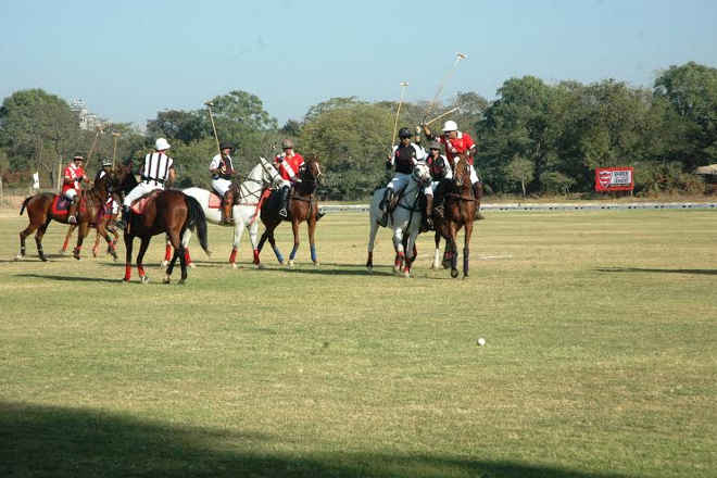 rajasthan-polo.jpg