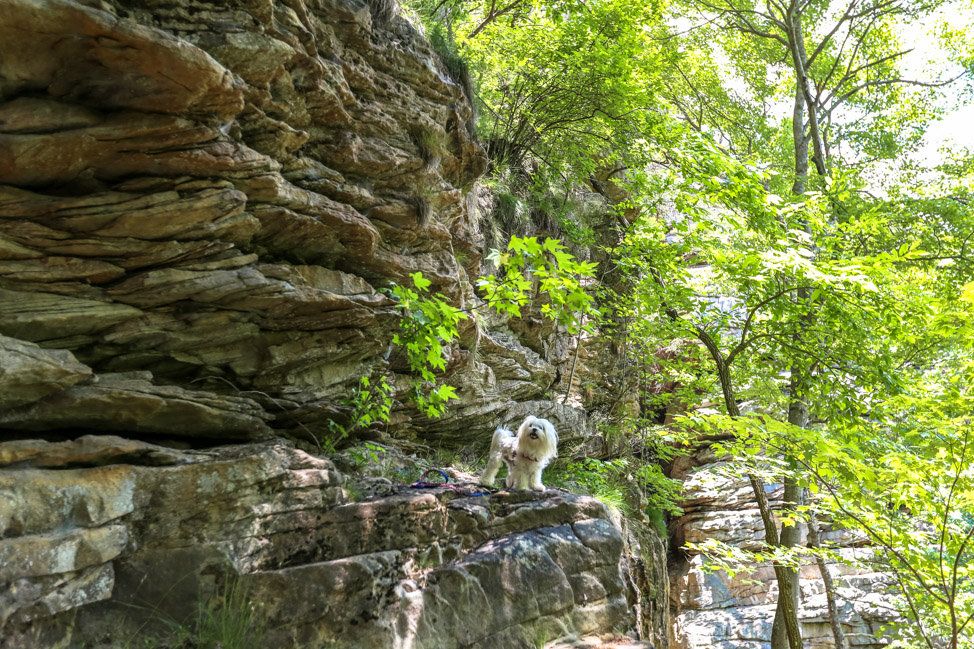 Old Stone Fort: Hiking with Dogs in Tennessee