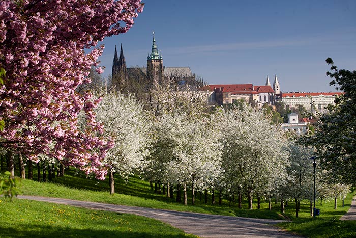 Prague Castle in spring © Prague City Tourism