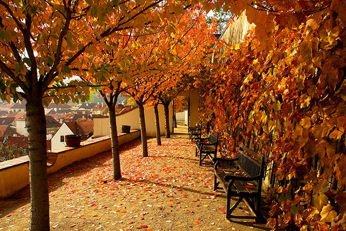 Prague in autumn © Prague City Tourism