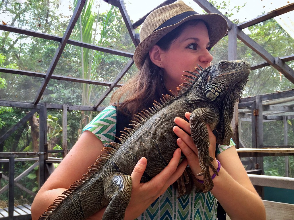 iguana san ignatio belize