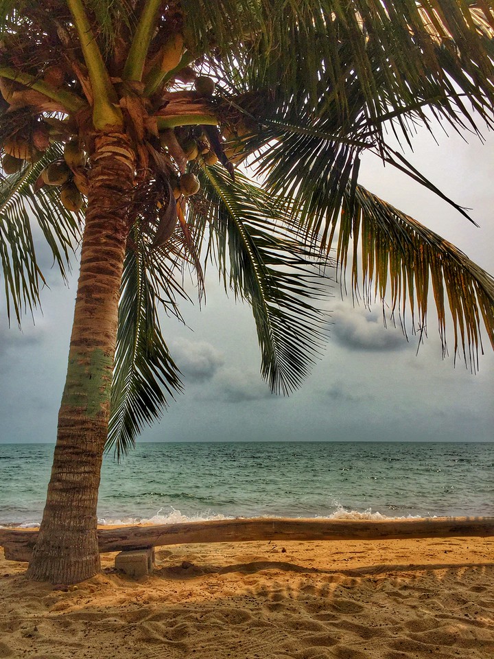 Beach views in Hopkins, Belize