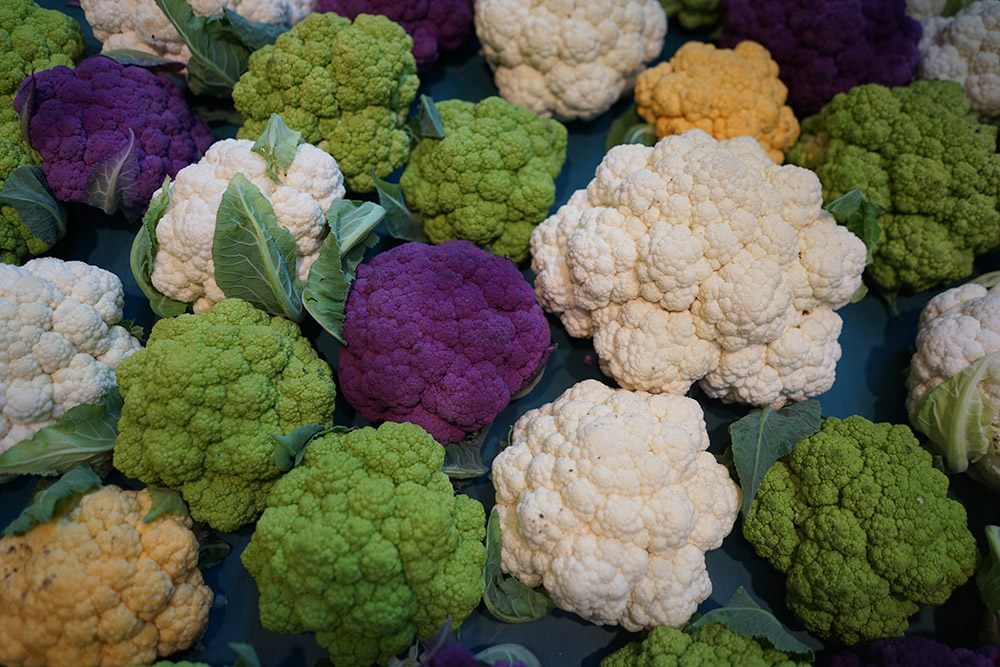 Old Strathcona Farmer's Market