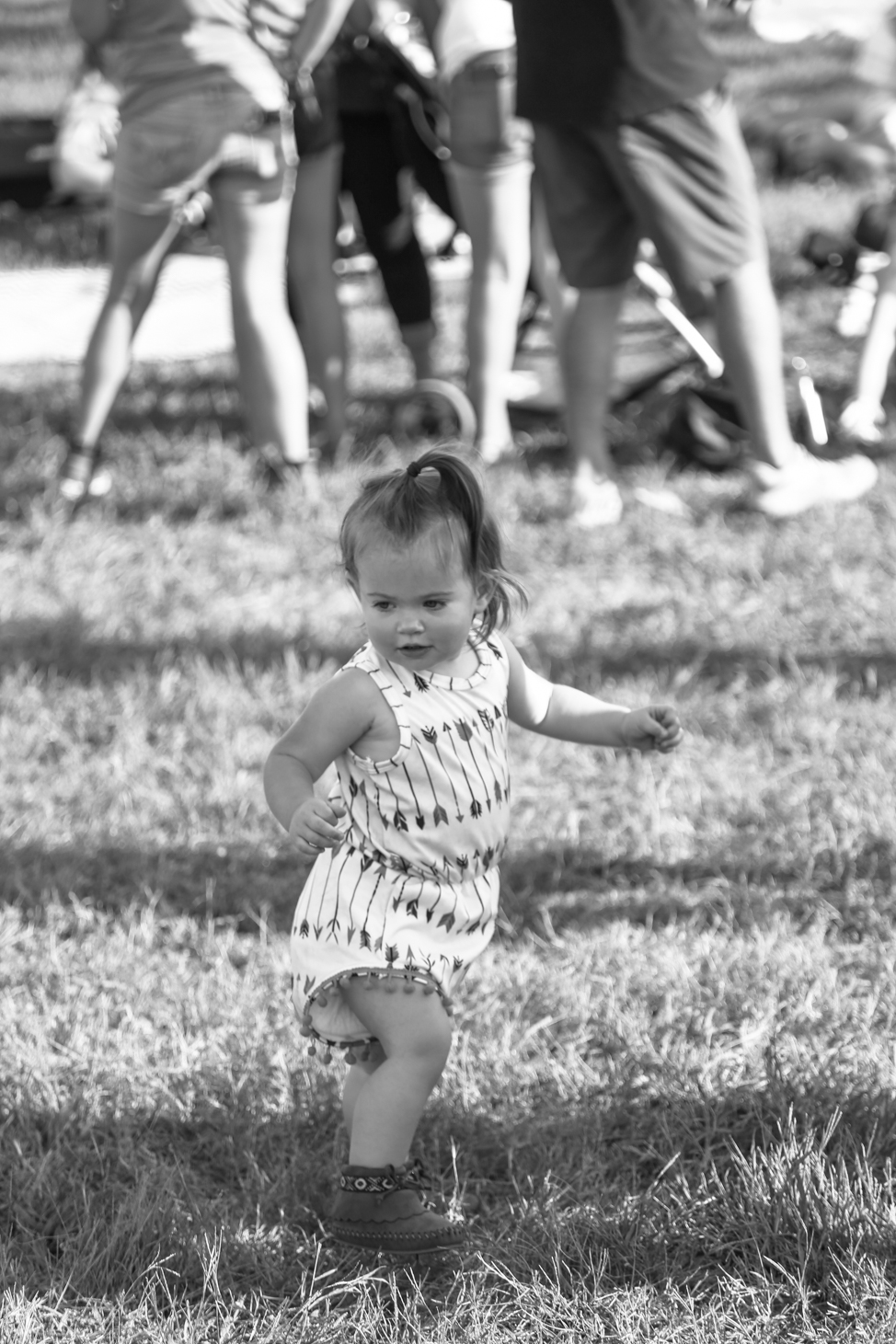 Pilgrimage Festival in Franklin, Tennessee