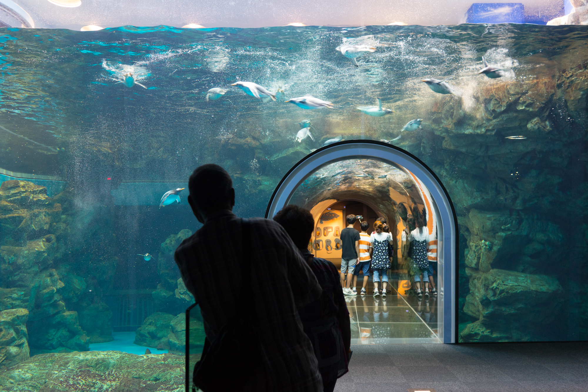 Kaikyokan Aquarium, Shimonoseki, Japan