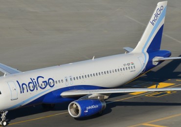 indigo-1.jpg