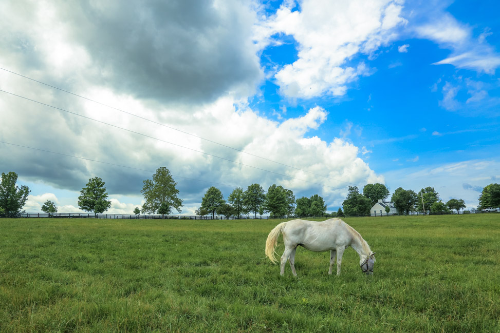 Visiting Lexington During Keeneland's Racing Season