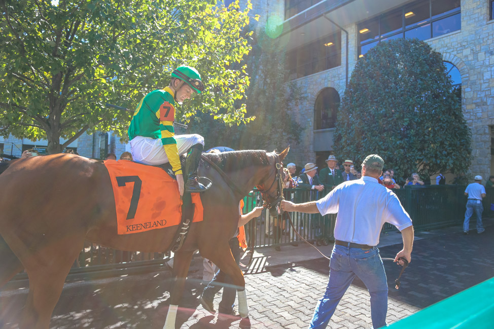 Visiting Lexington During Keeneland's Racing Season