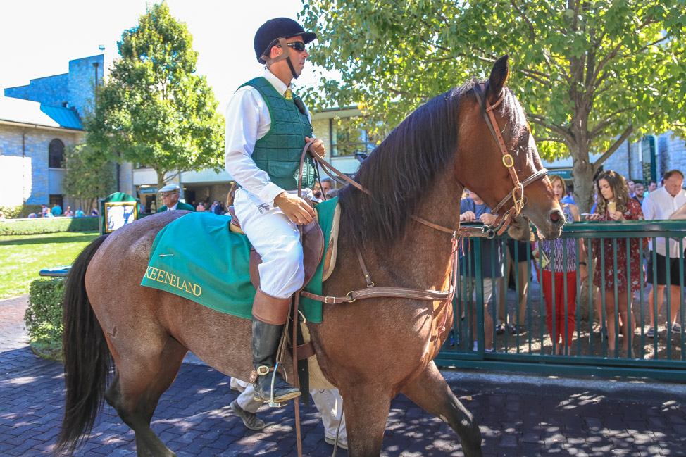 Visiting Lexington During Keeneland's Racing Season