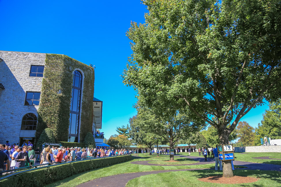 Visiting Lexington During Keeneland's Racing Season