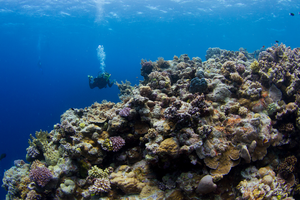 Great Barrier Reef