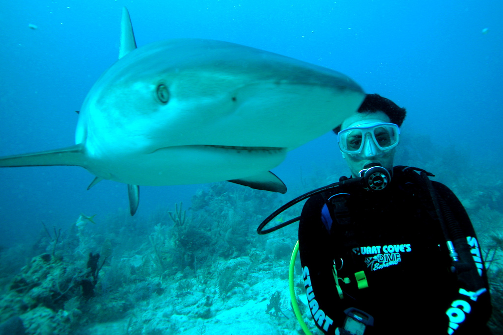 Eu e um Tutuba nas Bahamas