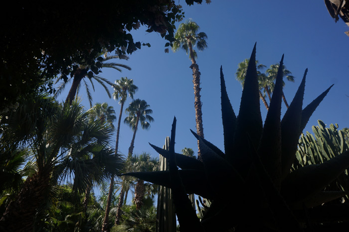 Jardin Majorelle. Image courtesy of Jiving John via Flickr