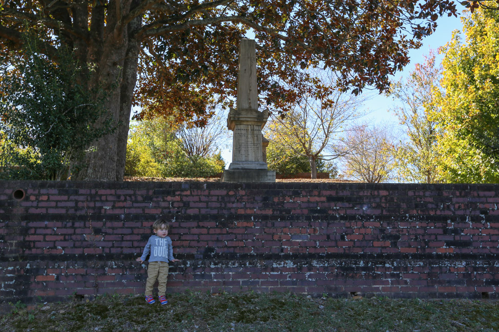 Pet-Friendly Travel to Macon, Georgia: The Burke Mansion