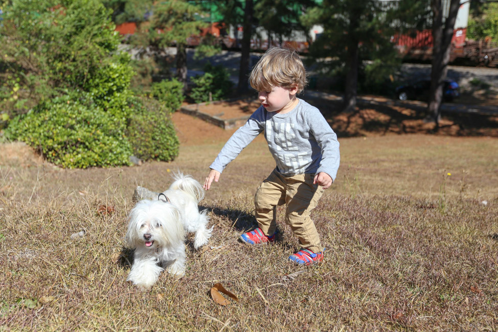 Pet-Friendly Travel to Macon, Georgia