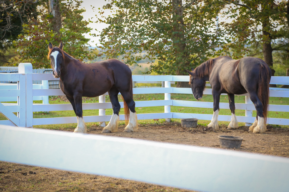 Visiting Shaker Village in Kentucky