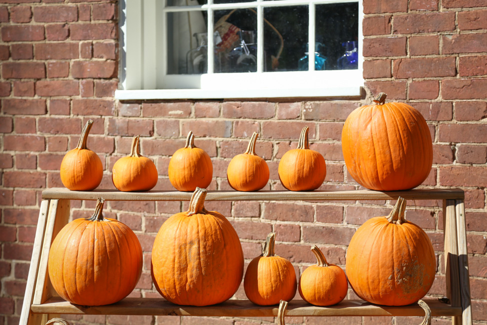 Visiting Shaker Village in Kentucky