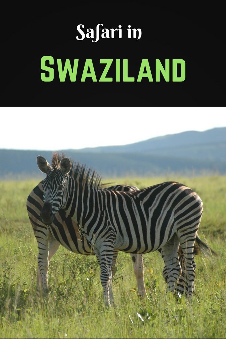 swaziland-pin.jpg