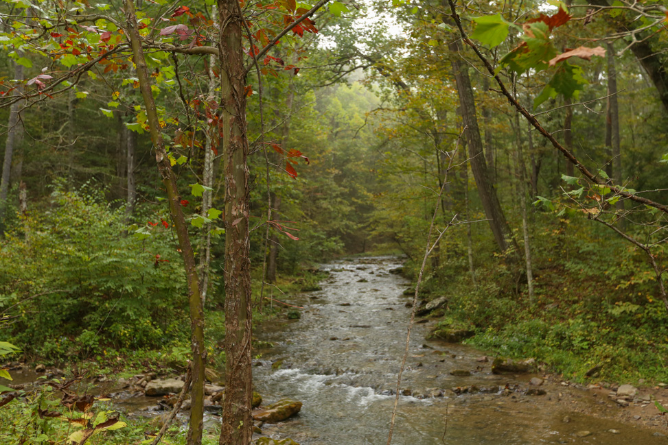 Waterfalls in Bath County, Virginia: A Homestead Resort Experience