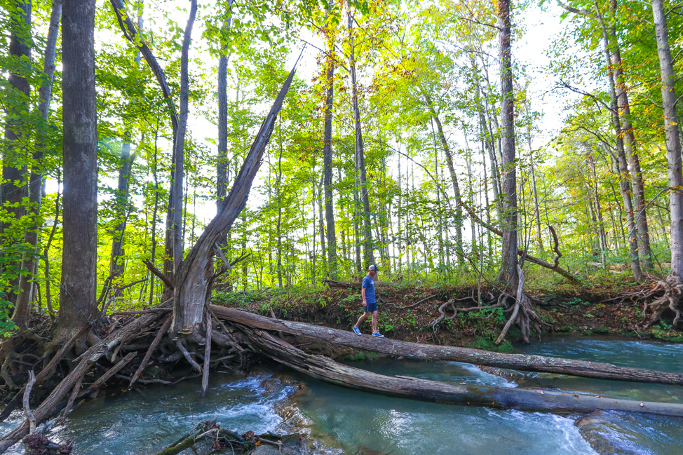 Waterfalls in Bath County, Virginia: A Homestead Resort Experience