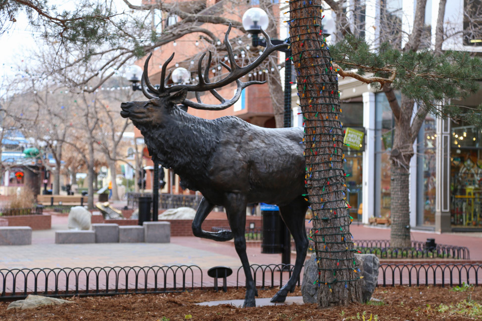 What to See, Eat, Drink and Do in Fort Collins, Colorado