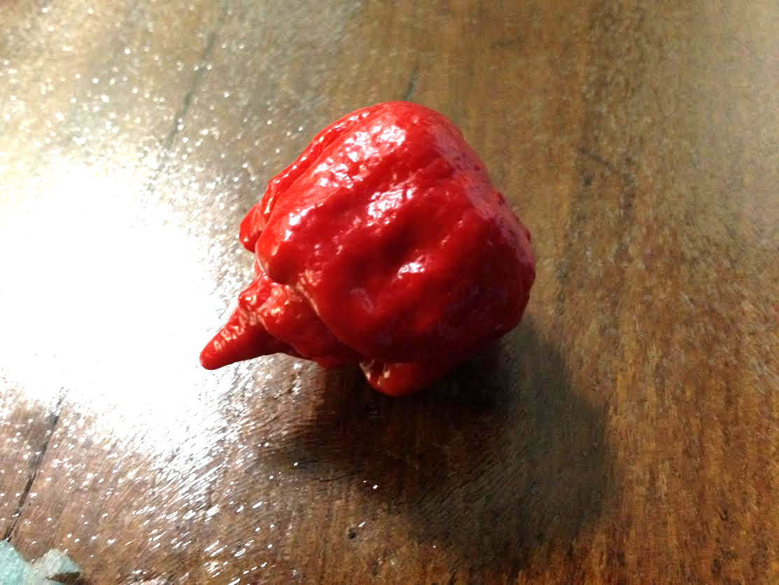 Reaper - Hottest Pepper in the World