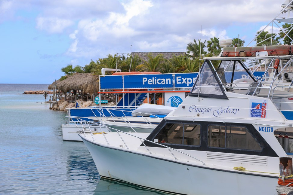 Diving in Curacao with Ocean Encounters