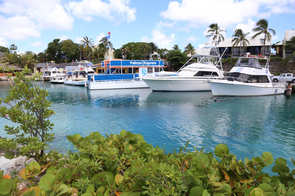 Diving in Curacao with Ocean Encounters