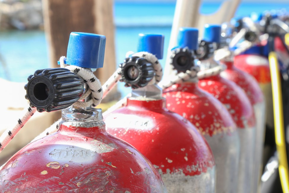 Diving in Curacao with Ocean Encounters