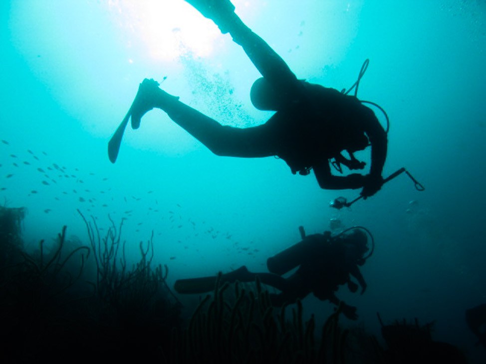 Diving in Curacao with Ocean Encounters