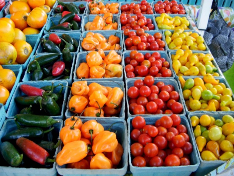 farmer_s_market-ojai_certified_farmers_ma-20000000009551310-1024x768.jpg