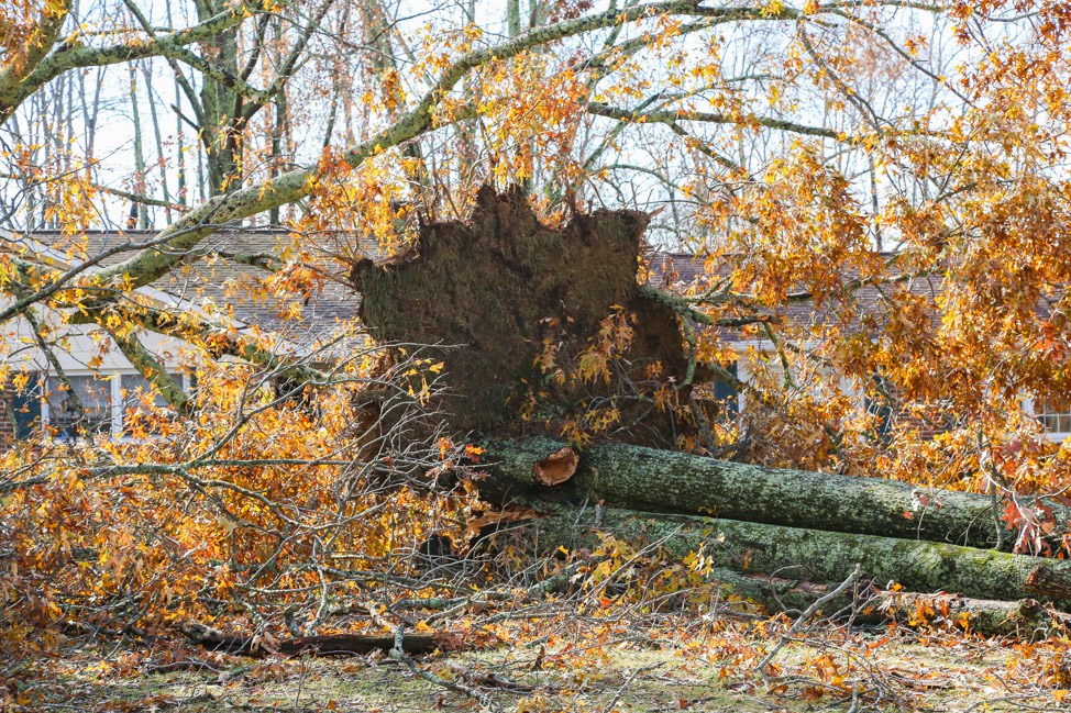 The Tullahoma Tornado