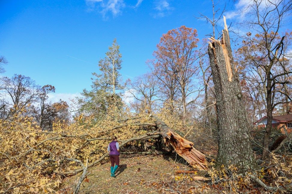 The Tullahoma Tornado